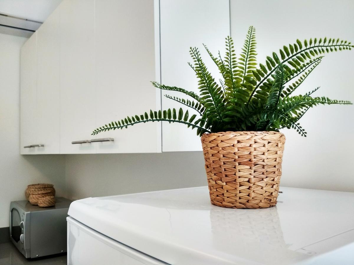 תל אביב Beautiful Studio On Jerusalem Boulevard מראה חיצוני תמונה